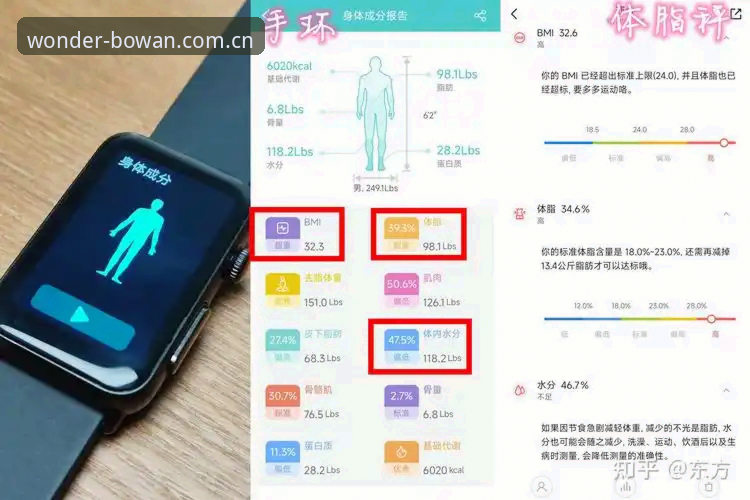 博万体育的实时数据到底好用吗？新手如何快速上手？